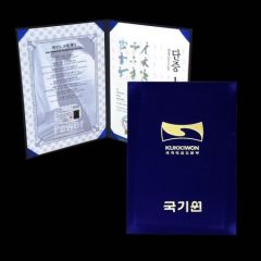 KUKKIWON DAN CERTIFICATE CASE