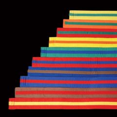 DYNAMICS COLOR STRIPED COLOR BELT