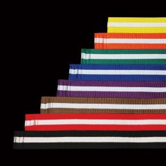 DYNAMICS WHITE STRIPED COLOR BELT