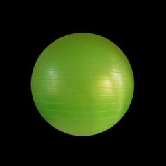 DYNAMICS FITNESS BALL