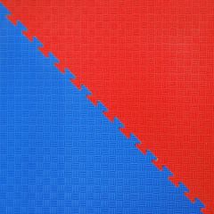 DYNAMICS FLOOR BLUE/RED OCTAGON MATS